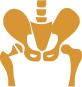 Hip Fracture